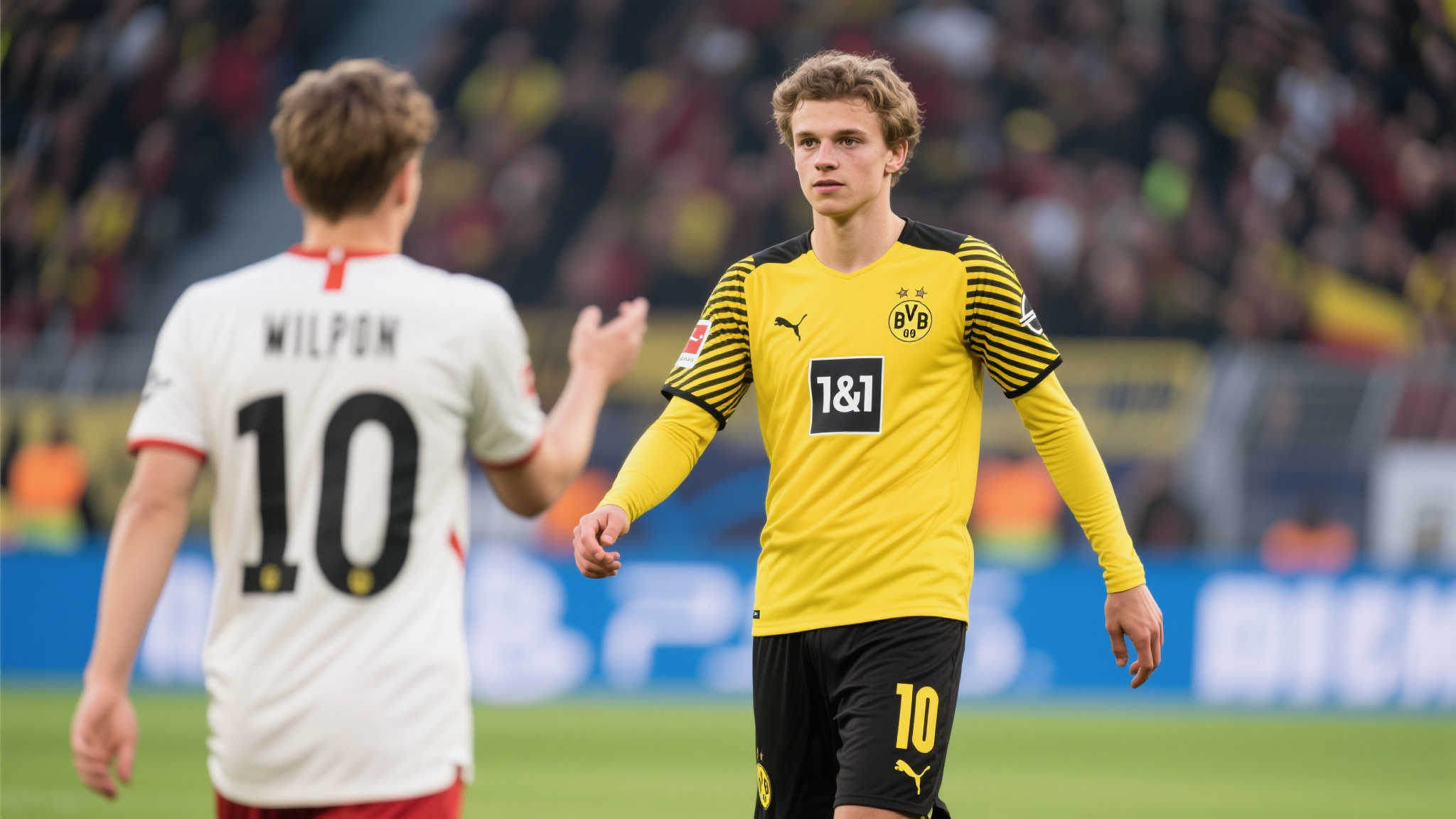 世界杯滚球平台网页版入口